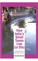 How India's Small Towns Live (Or Die)