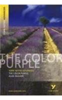 The Color Purple: York Notes Advanced - everything you need to study and prepare for the 2025 and 2026 exams