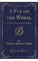 A Fly on the Wheel: Or How I Helped to Govern India (Classic Reprint)