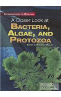 Closer Look at Bacteria, Algae, and Protozoa