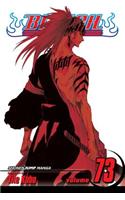 Bleach, Vol. 73