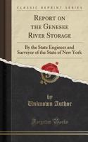 Report on the Genesee River Storage: By the State Engineer and Surveyor of the State of New York (Classic Reprint)