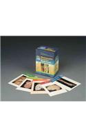 Rohen's Photographic Anatomy Flash Cards