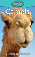 Camels