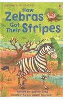  How Zebras Got Their Stripes