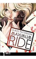 Maximum Ride: Manga Volume 1