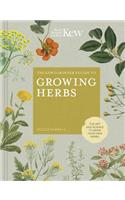 Kew Gardener's Guide to Growing Herbs