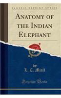 Anatomy of the Indian Elephant (Classic Reprint)