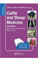 Cattle and Sheep Medicine