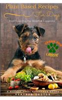 Plant Based Recipes for Dogs Nutritional Lifestyle Guide