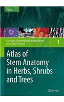 Atlas of Stem Anatomy in Herbs, Shrubs and Trees, Volume 1