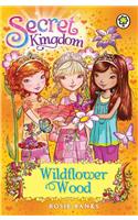 Secret Kingdom: Wildflower Wood