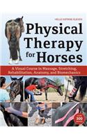 Physical Therapy for Horses