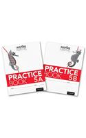 Inspire Maths: Practice Book 5 AB (Mixed Pack)