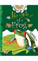 Circle of Life: Life Cycle of a Frog