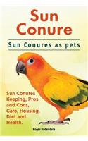 Sun Conure. Sun Conures as pets. Sun Conures Keeping, Pros and Cons, Care, Housing, Diet and Health.