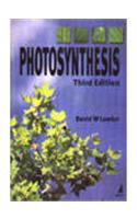 Photosynthesis