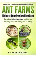 Ant Farms - The Ultimate Formicarium Handbook