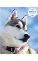 2020 Siberian Husky Dog Planner - Weekly - Daily - Monthly