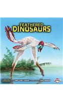 Feathered Dinosaurs