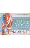 Key Poses of Yoga:  the Scientific Keys Vol 2