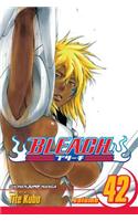 Bleach, Vol. 42