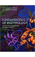 Fundamentals Of Enzymology, 3rd Edition
