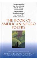 Book of American Negro Poetry