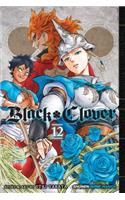 Black Clover, Vol. 12