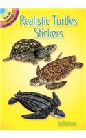 Realistic Turtles Stickers