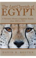 Last Cheetah of Egypt