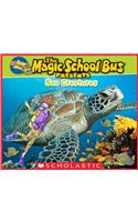 Magic School Bus Presents: Sea Creatures