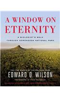 A Window on Eternity