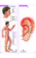 4 Acupuncture Charts