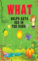 What Helps Bats See in the Dark?