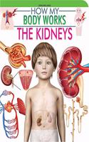 The Kidneys (How My Body Works)