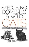 Sketching Domestic and Wild Cats