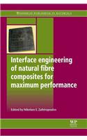 Interface Engineering of Natural Fibre Composites for Maximum Performance