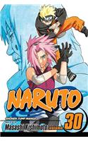 Naruto, Vol. 30