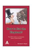 How To Eat The Elephant? The Ceo'S Guide To An Enterprise System Implementation