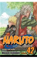 Naruto, Vol. 42