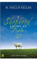 Shepherd Looks at Psalm 23, Large Print Edition