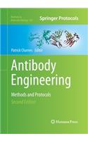 Antibody Engineering