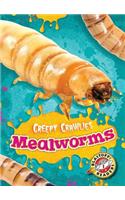 Mealworms