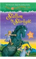 Stallion by Starlight