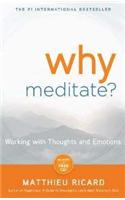 Why Meditate? Working with Thoughts and Emotions 