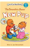 Berenstain Bears' New Pup