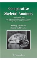 Comparative Skeletal Anatomy