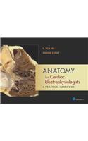 Anatomy for Cardiac Electrophysiologists