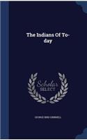 The Indians Of To-day